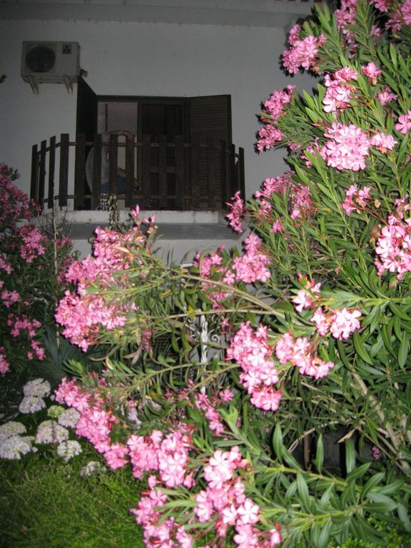 Hotel Casa Morgado Almeida Exterior foto
